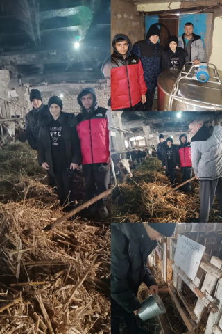 Экскурсия на фермерское хозяйство